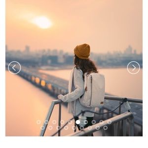 Nordace Smart Pack - sienna color NWT